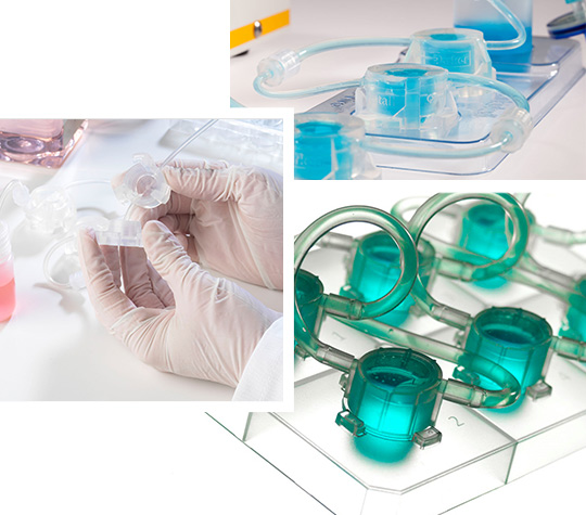 Kirkstall Limited gallery image